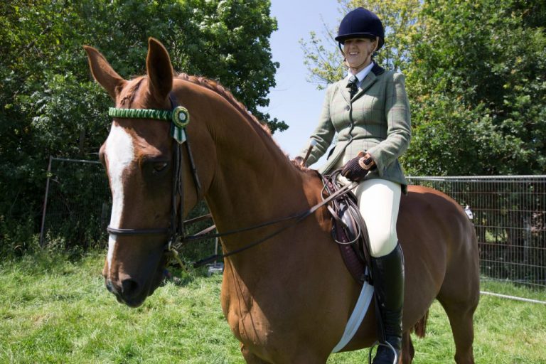 Bridgend Country Show Traditional Showing