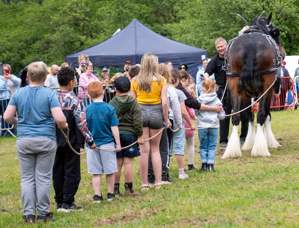 Bridgend Country Show Traditional Showing